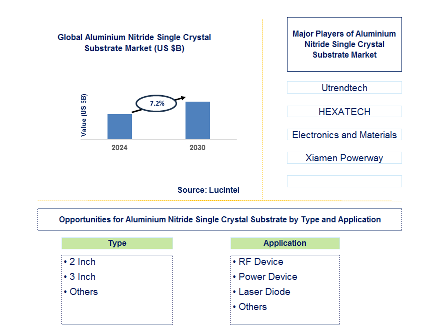 Aluminium Nitride Single Crystal Substrate Trends and Forecast